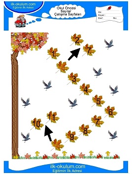 Çocuklar İçin sayı Çalışma Sayfaları 